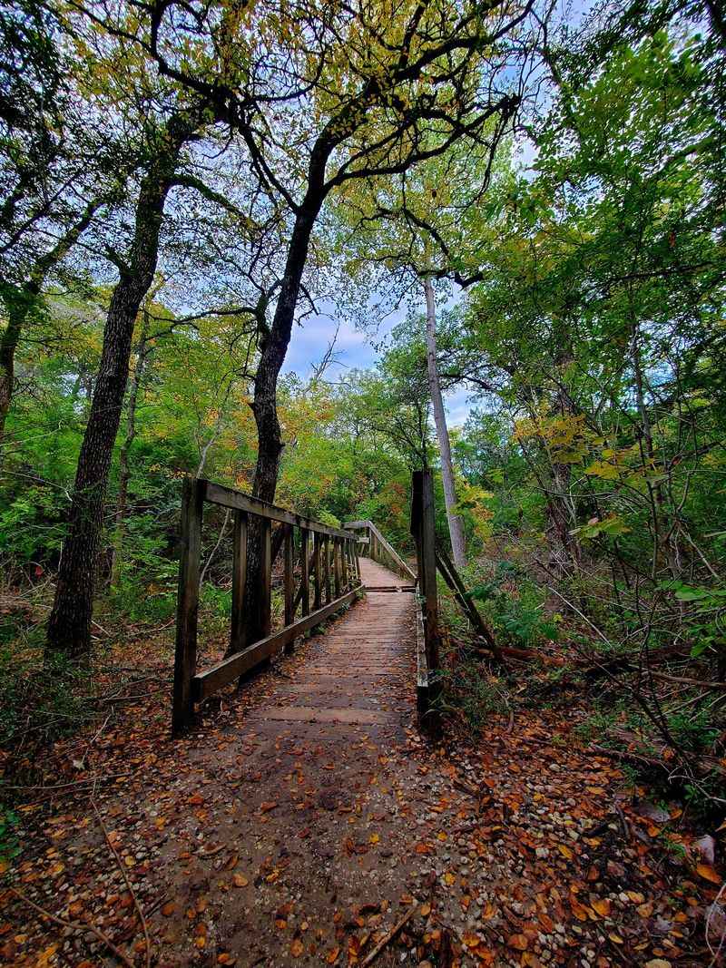 Disembodied Voices on Empty Trails