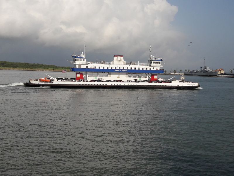 Dolphins Love the Ferry Route
