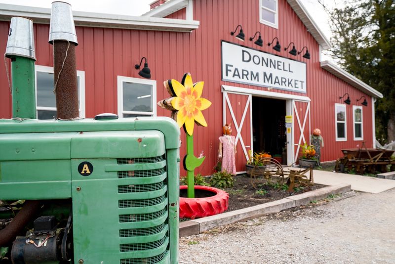 Donnell Farm | Tennessee Pumpkin & Tulip Farm, Jackson Donnell Farm | Tennessee Pumpkin & Tulip Farm, Jackson