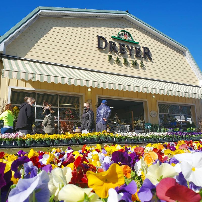 Dreyer Farms - Cranford Dreyer Farms - Cranford