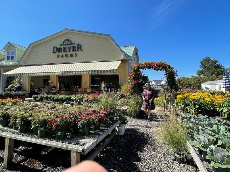 Dreyer Farms - Cranford Dreyer Farms - Cranford