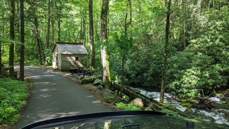 Drive the Roaring Fork Motor Nature Trail