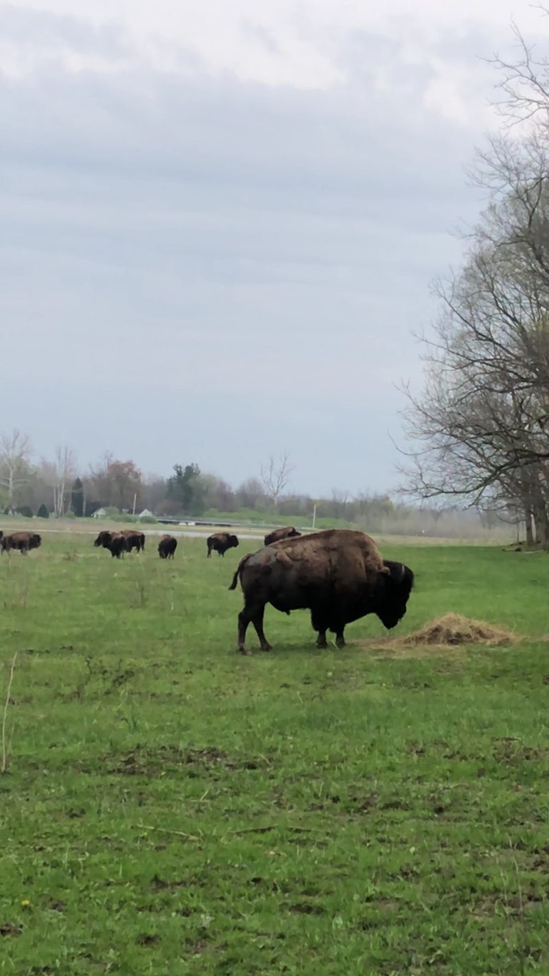 Where the Prairie Opens Up Where the Prairie Opens Up