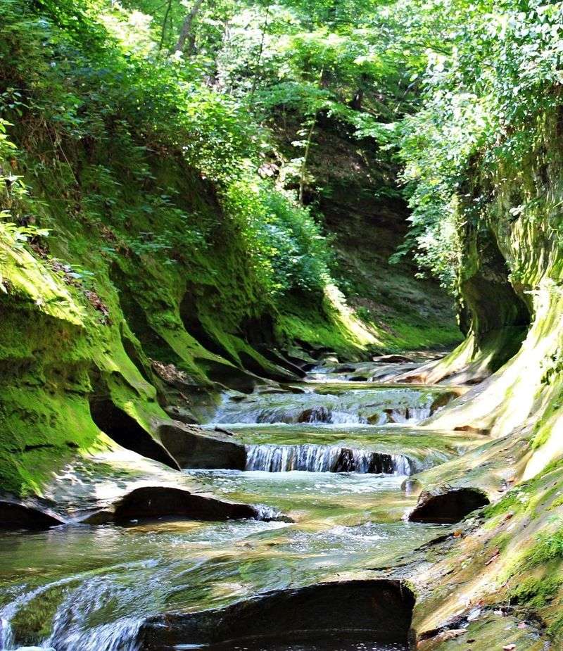 Fall Creek Gorge Nature Preserve (Williamsport) Fall Creek Gorge Nature Preserve (Williamsport)