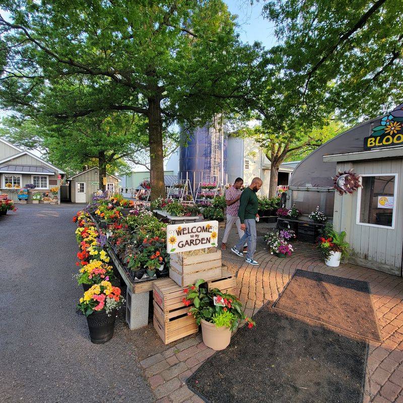 Easy Planning For A Better Visit Easy Planning For A Better Visit