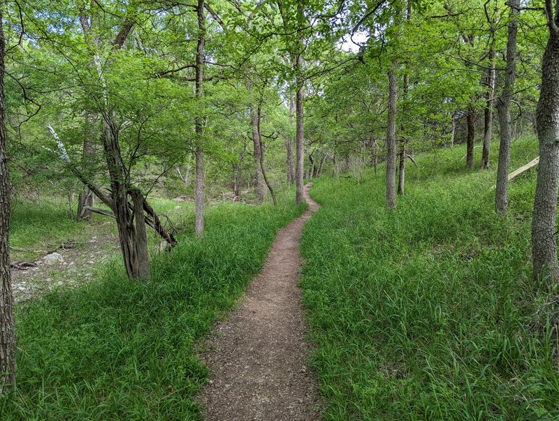Easy Trails Welcome Families and First-Time Hikers
