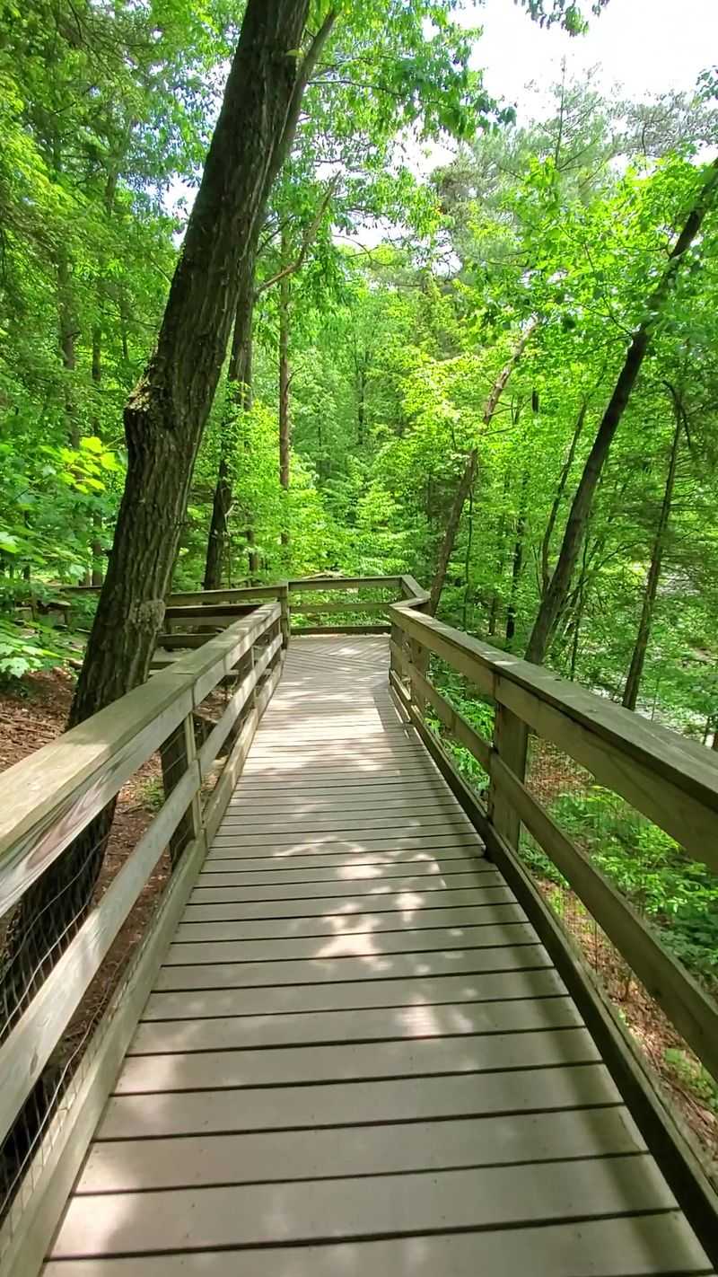 Easy Trails With Just Enough Wildness