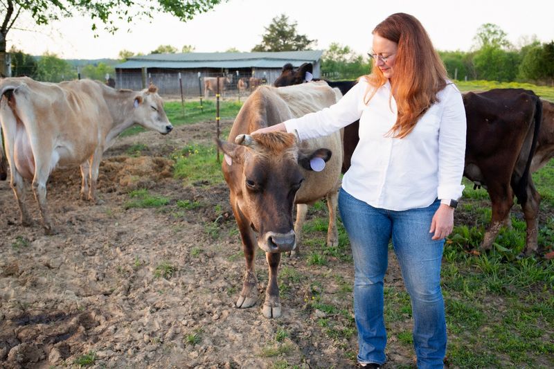 Echo Valley Farm in Madisonville