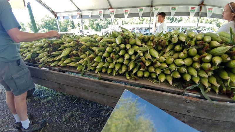 Eckert's Corn Stand - Southampton Township Eckert's Corn Stand - Southampton Township