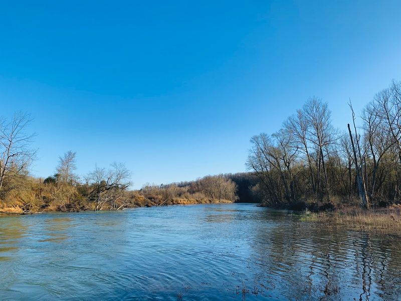 Eleven Point River (Riverton)