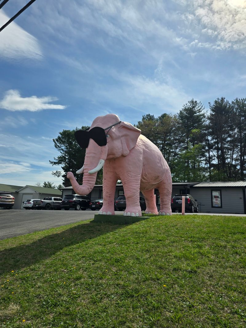 Ellie the Pink Elephant, Cookeville Ellie the Pink Elephant, Cookeville
