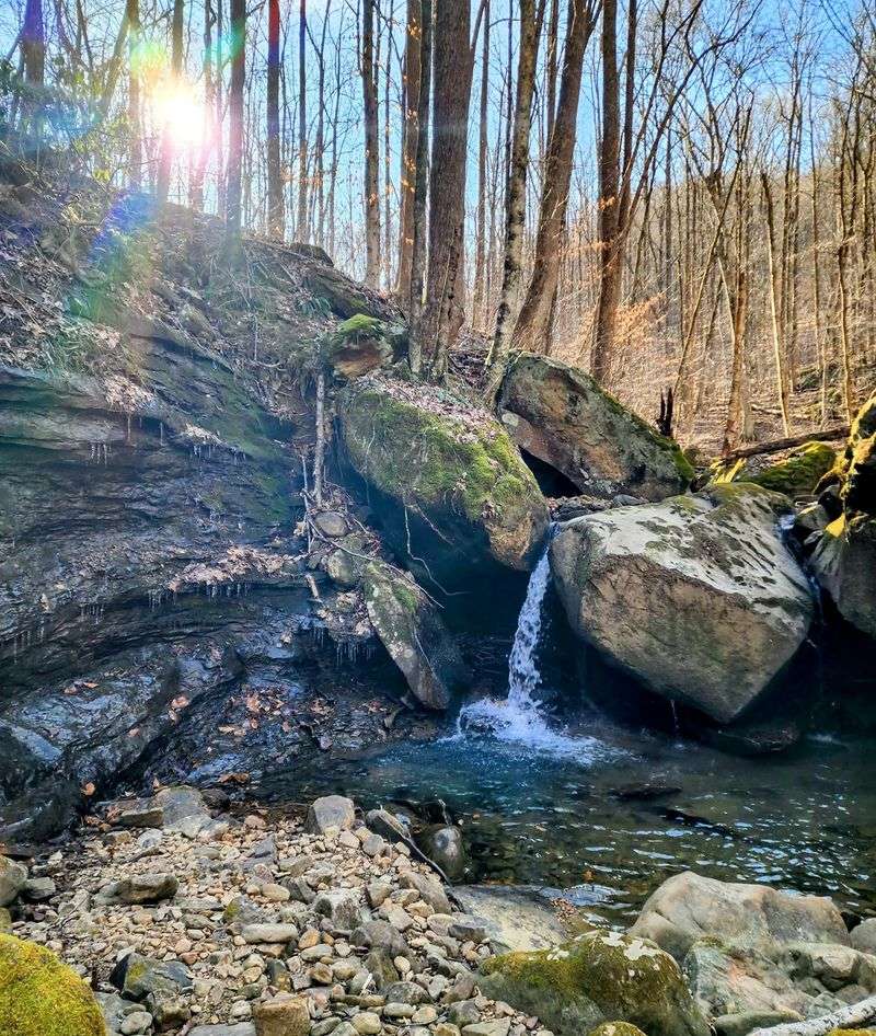 Emory Gap Trail, Wartburg
