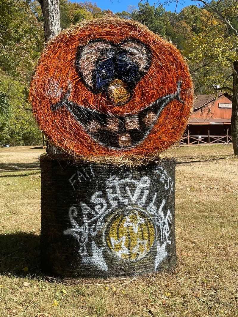 Enjoy Classic Fall Activities for the Whole Family Enjoy Classic Fall Activities for the Whole Family