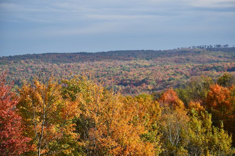 Erlandson Overview Park