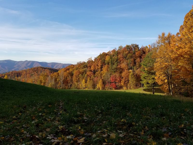 Erwin and the Nolichucky Gorge