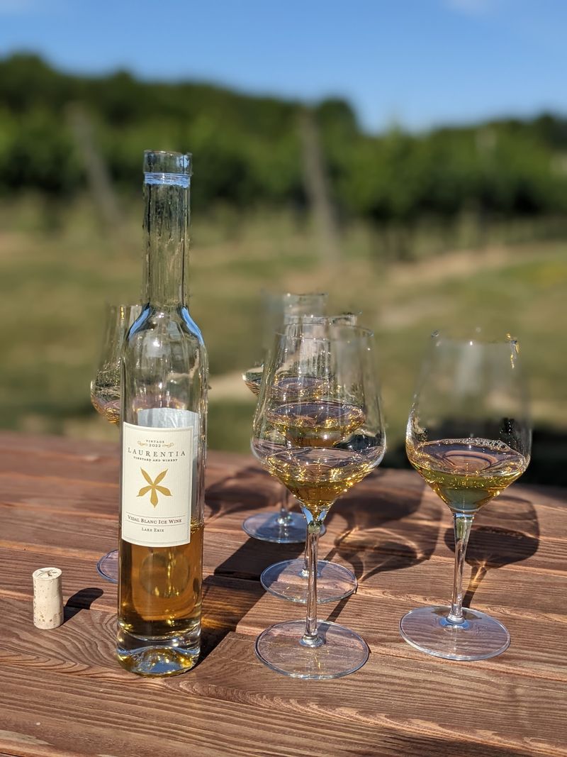 Estate Wines With a Strong Local Identity