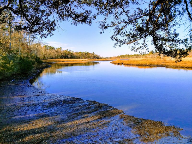 Estell Manor Park - Mays Landing