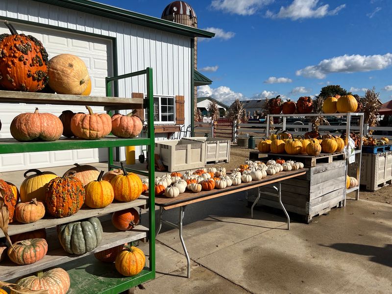 Eugster's Farm Market Inc Eugster's Farm Market Inc