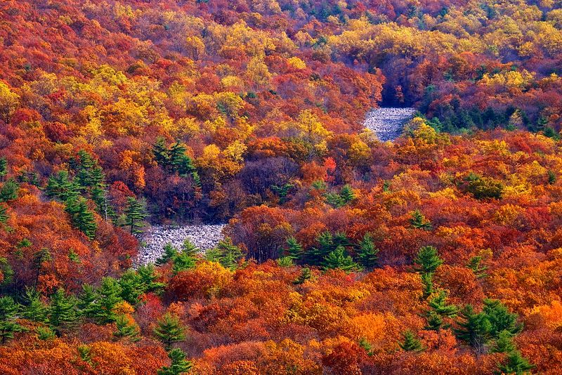 Every Season Brings Its Own Unique Beauty Every Season Brings Its Own Unique Beauty