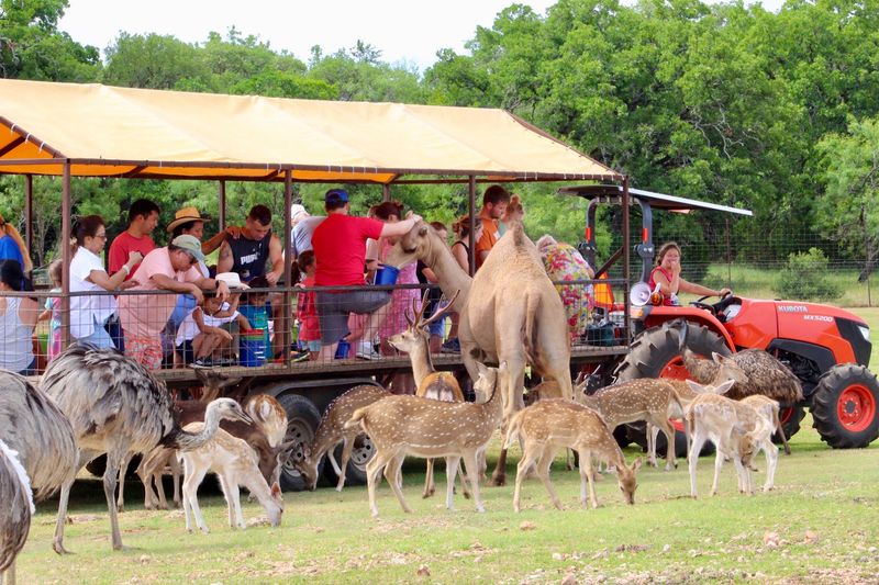 Exotic Resort Zoo (Johnson City)