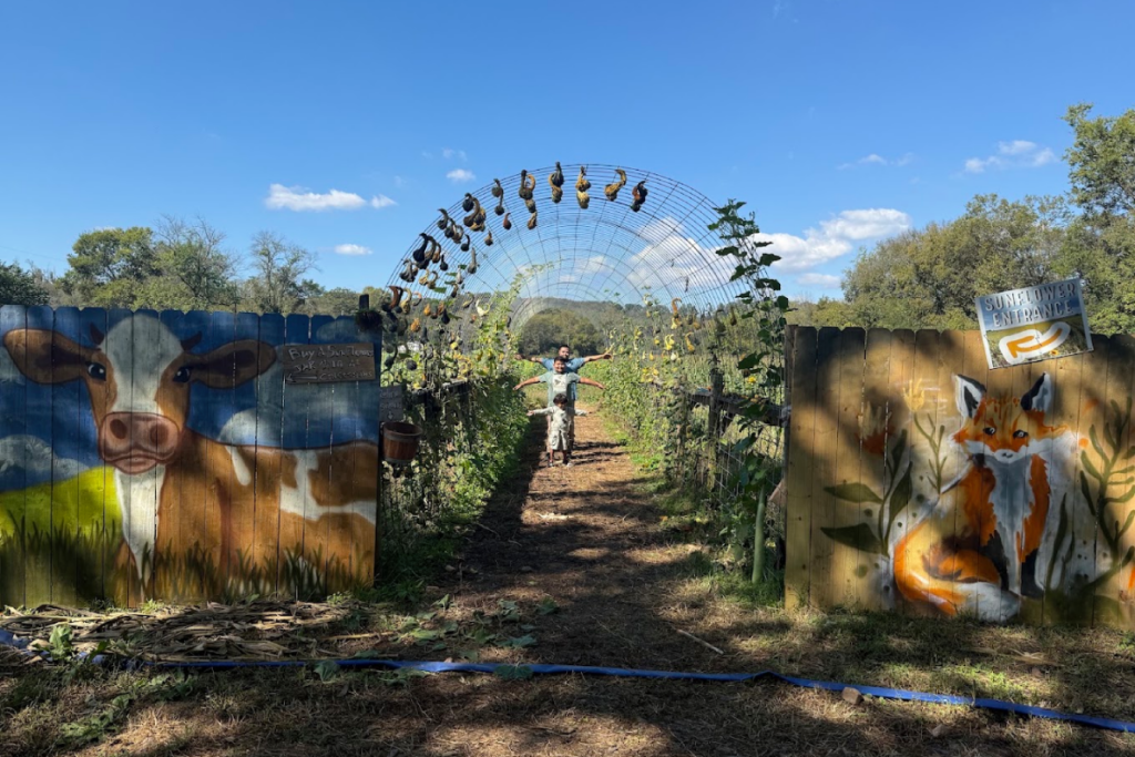 Explore 70 Acres of Pumpkins, Corn Mazes, and Sunflowers at This Tennessee Fall Festival