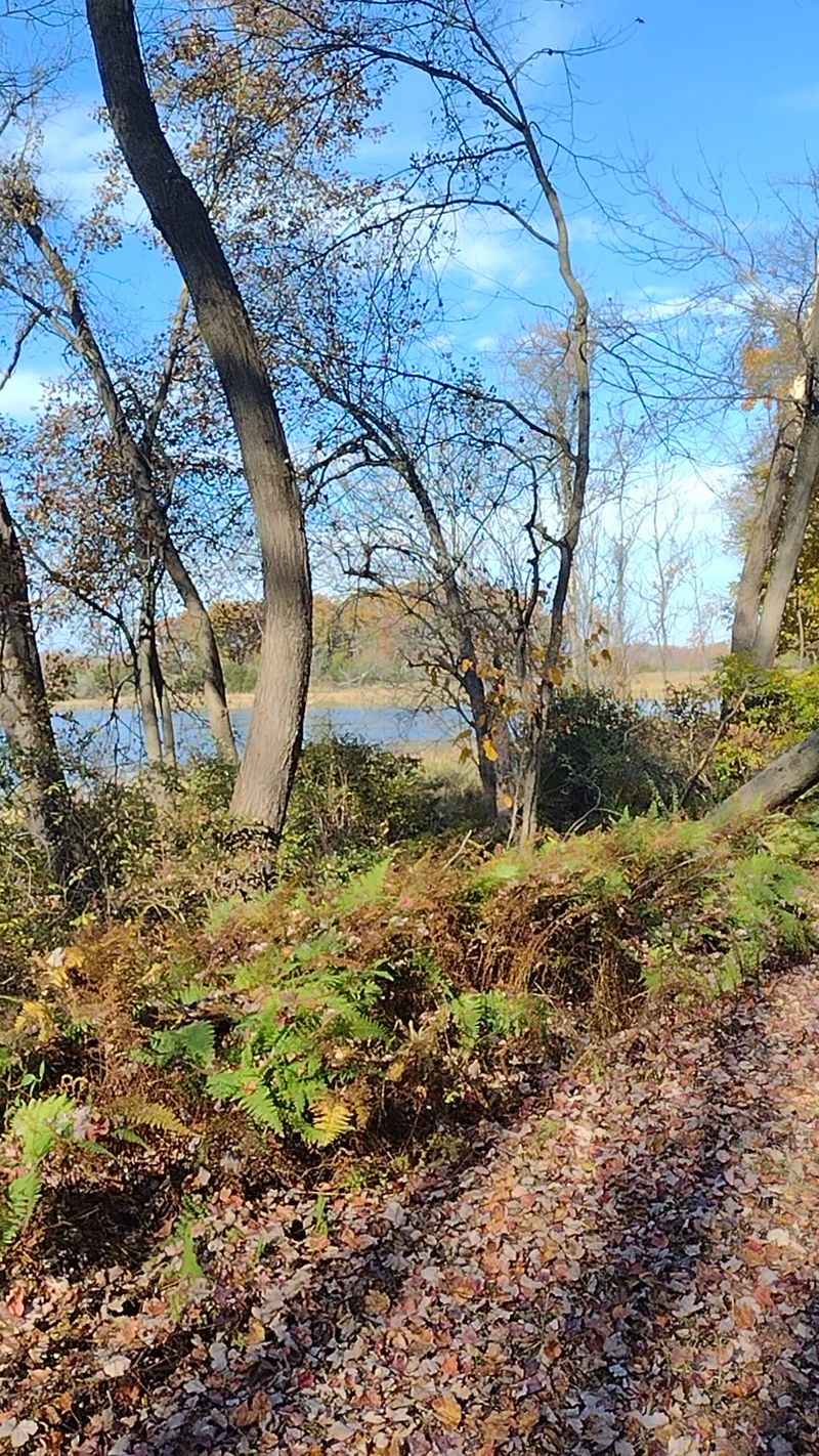 Explore Lakes and Farmland on the Sussex Branch Trail