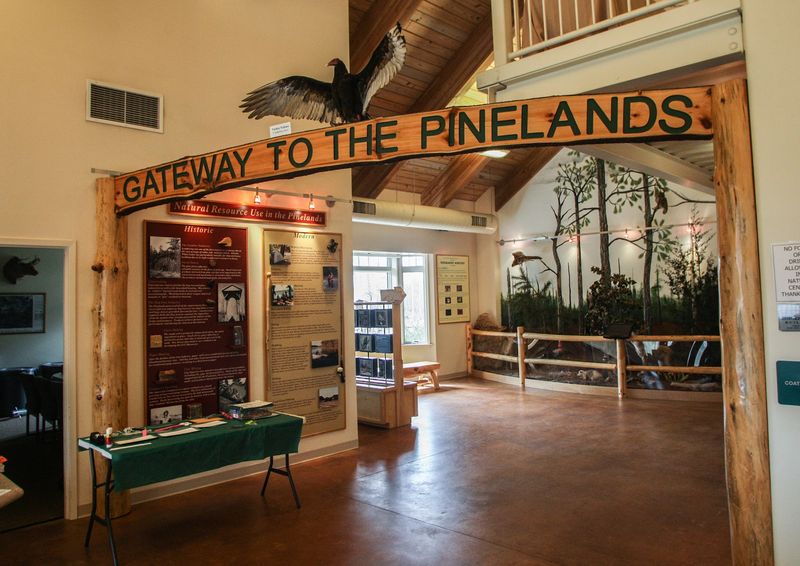 Explore the Pine Barrens Inside the Nature Center