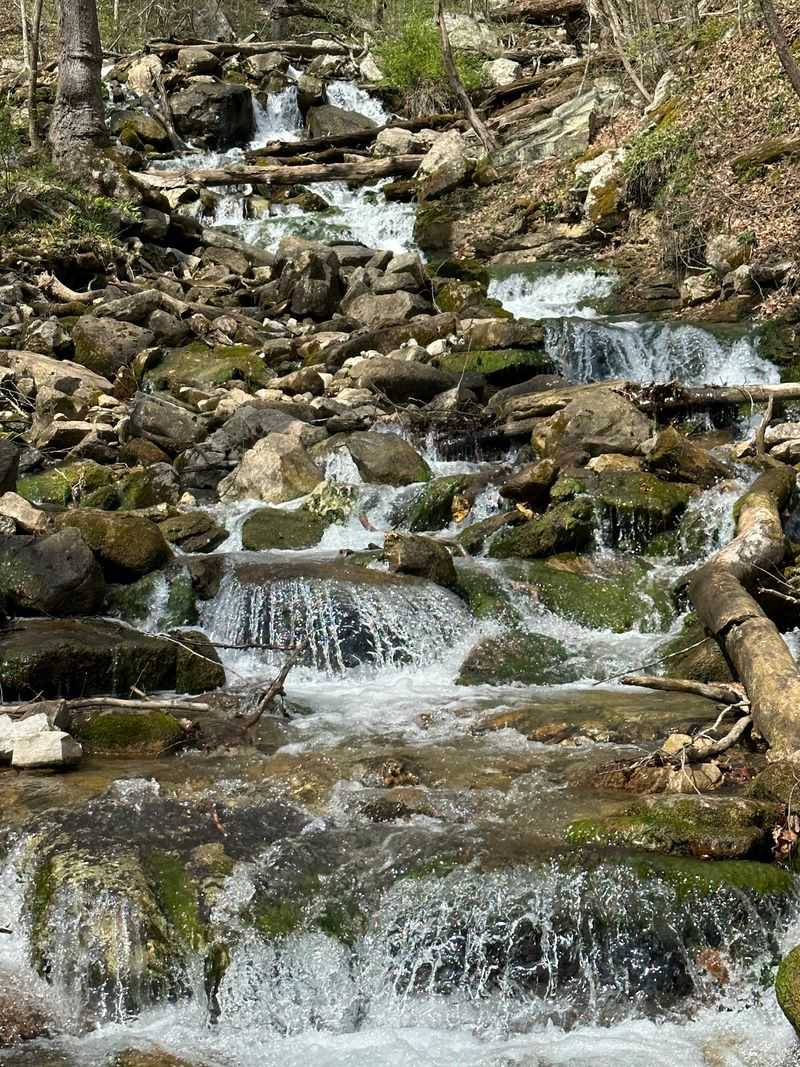 Explore the Trails and Overlooks Just Beyond Town