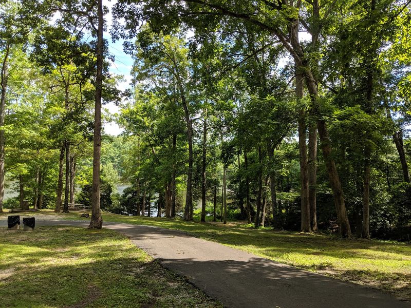 Explore the Trails at Natchez Trace State Park Explore the Trails at Natchez Trace State Park