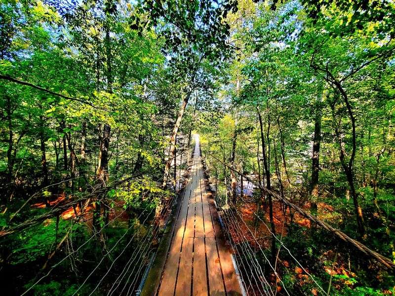 Fall Creek Falls State Park Overlooks, Spencer Fall Creek Falls State Park Overlooks, Spencer