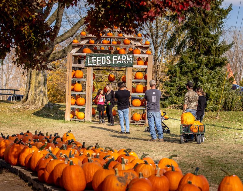 Fall Food and Drinks That Adults Actually Get Excited About