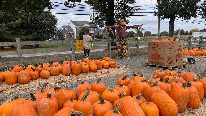 Fall Fun Brings Bigger Crowds Fall Fun Brings Bigger Crowds