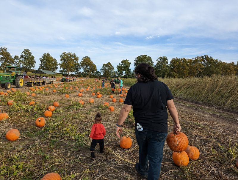 Farm Animals Hayrides and Pick Your Own Fun Keep Families Coming Back