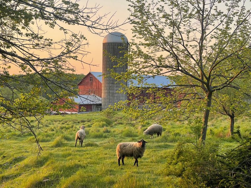 Farming Practices That Give the Land Time to Recover