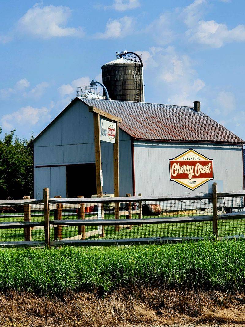 Feed Farm Animals With Care