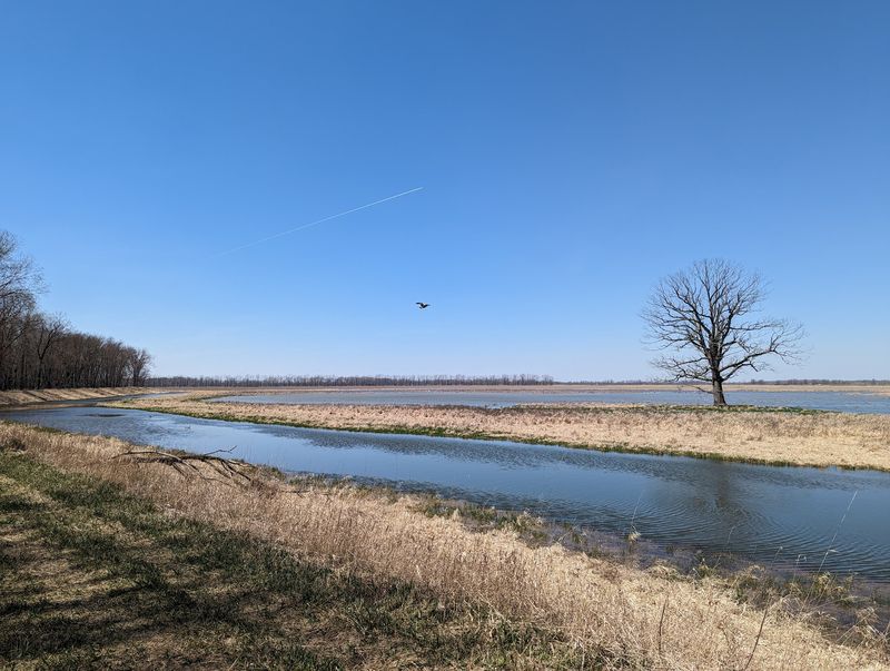 Ferguson Bayou Trail - Saginaw Ferguson Bayou Trail - Saginaw