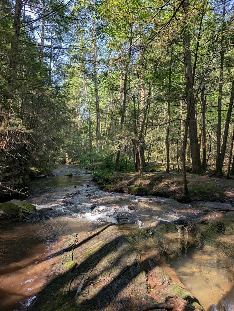 Fifteen Miles Of Trails For Stretching Your Legs