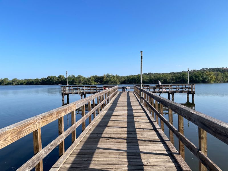 Fishing Docks See Their Share of Snake Visitors Fishing Docks See Their Share of Snake Visitors