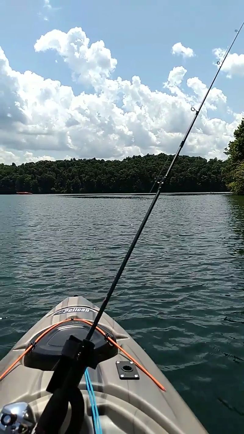 Fishing Spots Can Attract Hungry Snakes Fishing Spots Can Attract Hungry Snakes