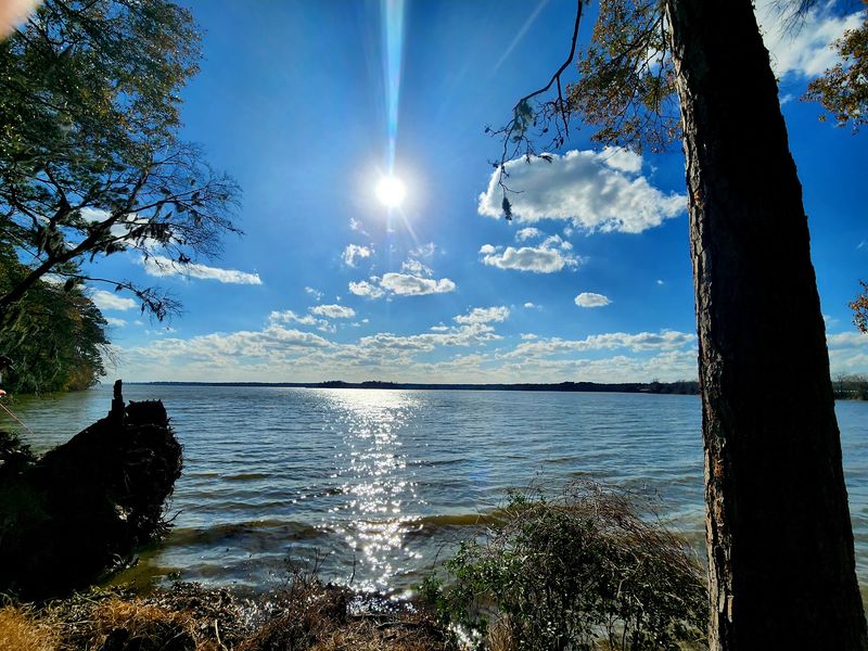 Fishing for Catfish, Carp, and More Fishing for Catfish, Carp, and More