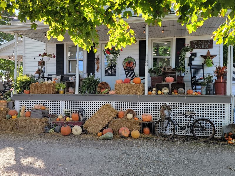 Fleitz Pumpkin Farm, Oregon Fleitz Pumpkin Farm, Oregon
