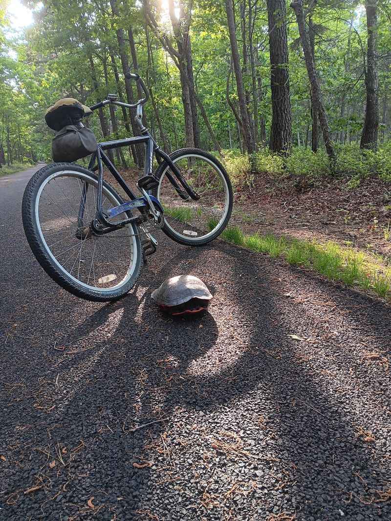 Follow an Old Seashore Railroad on the Middle Township Bike Path