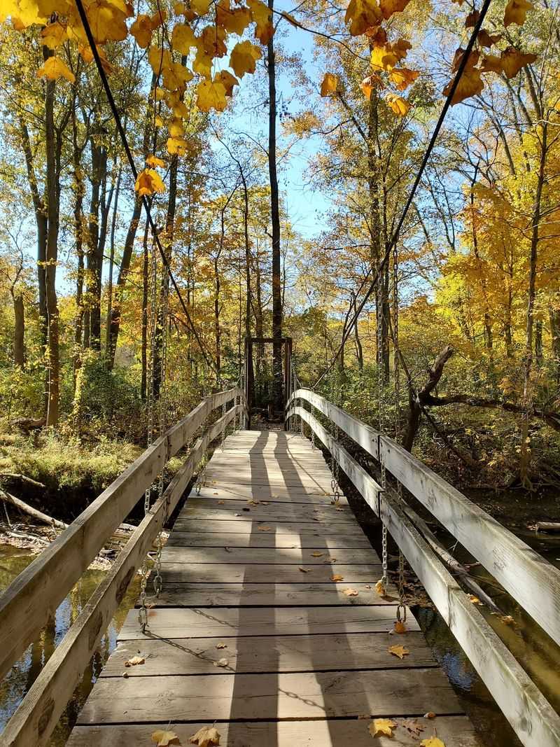 Follow the Trails, Not a Stopwatch Follow the Trails, Not a Stopwatch