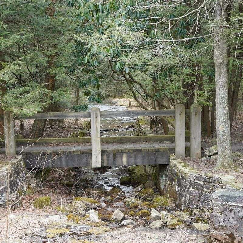 Following the Orange Blazes of the Mid State Trail