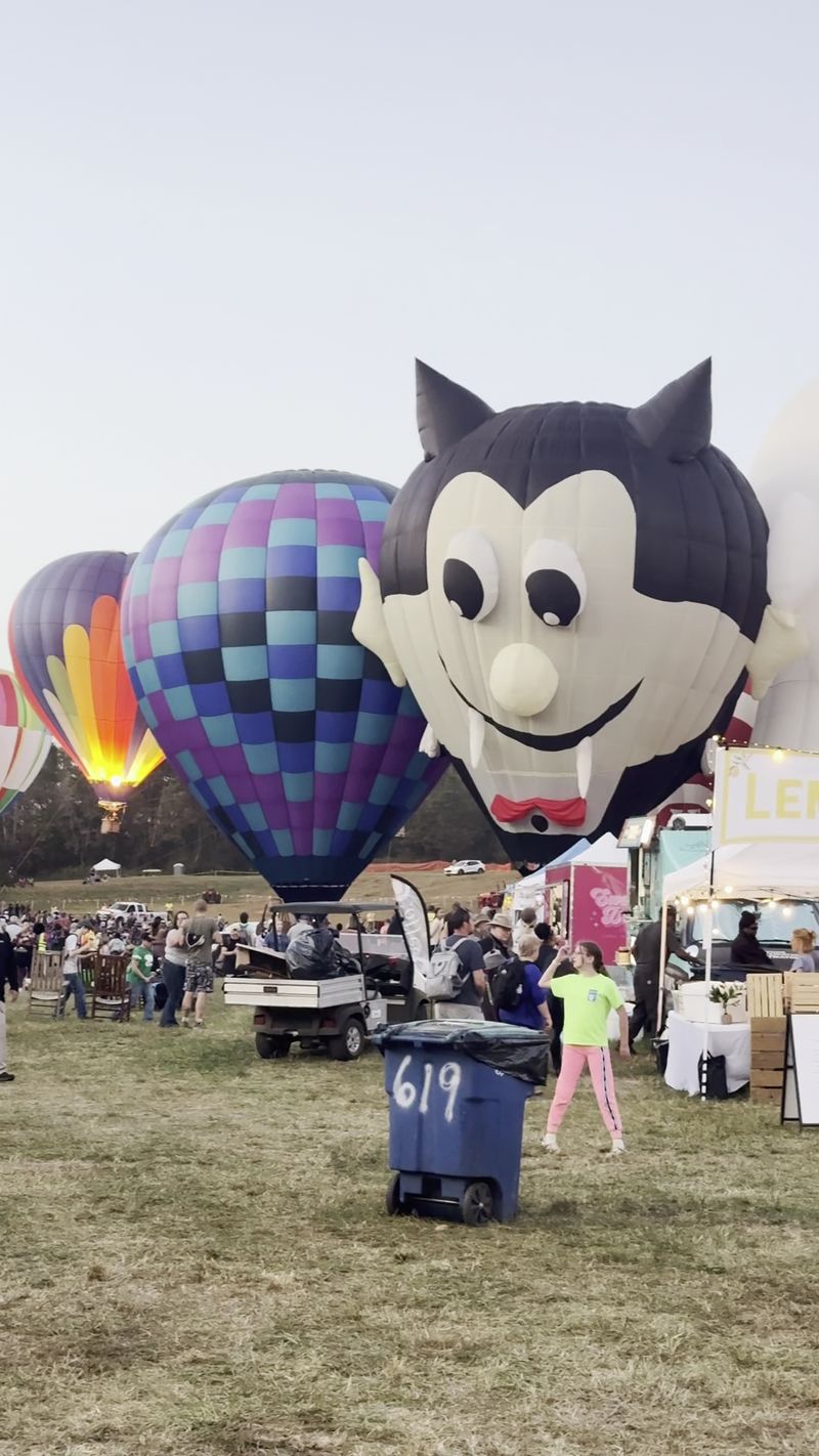 Food Trucks, Fair Favorites, And Local Flavor