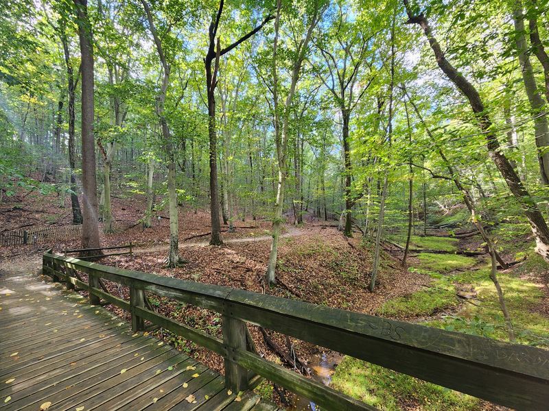 Forest Edge Playground at Holmdel Park, Holmdel