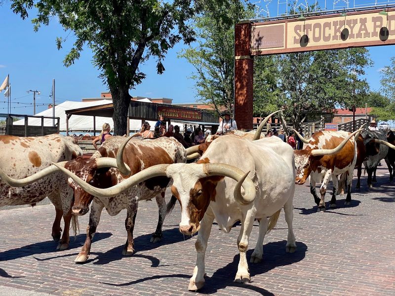 Fort Worth Stockyards (Fort Worth)