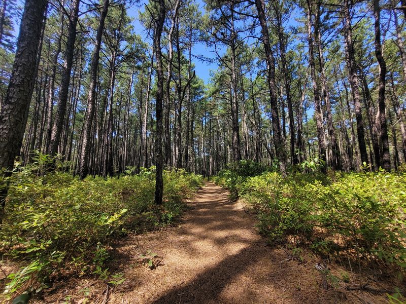Franklin Parker Preserve - Chatsworth