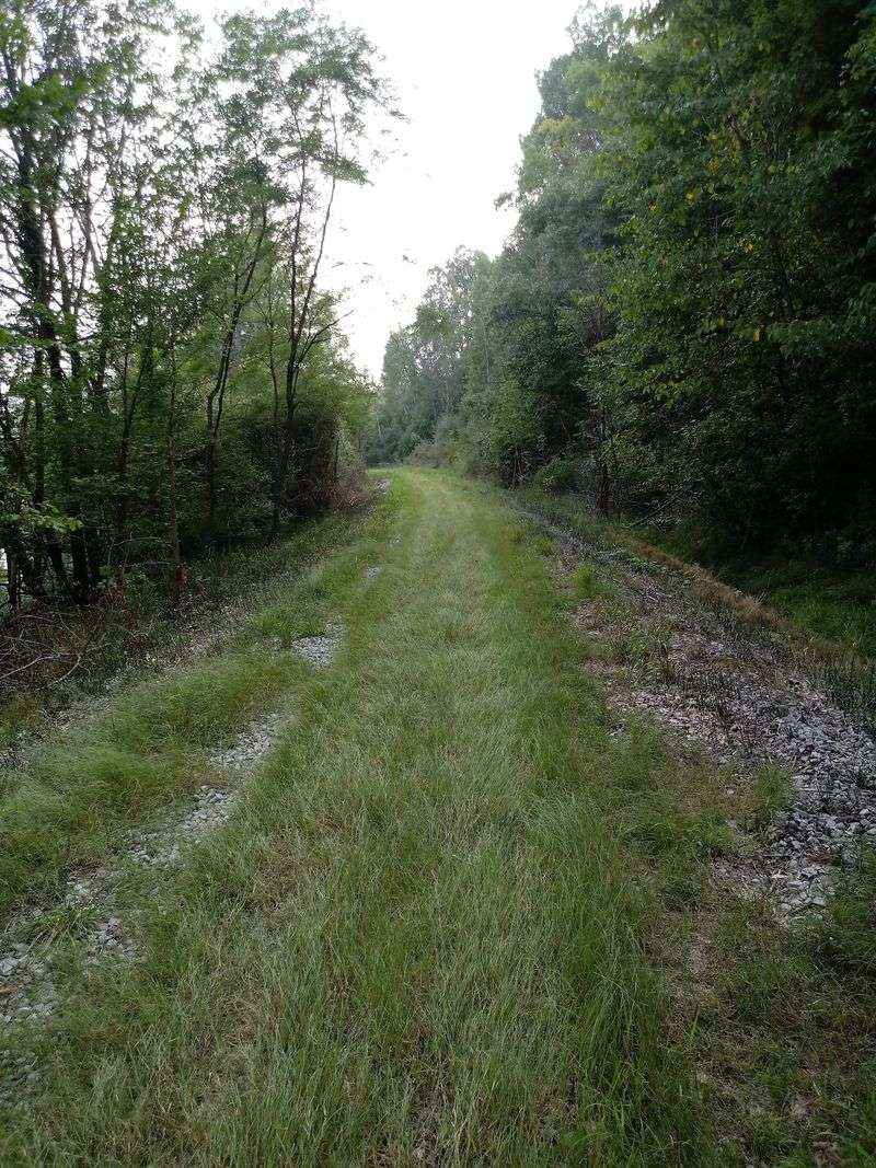 Fred Meijer Clinton-Ionia-Shiawassee Trail - St. Johns Fred Meijer Clinton-Ionia-Shiawassee Trail - St. Johns