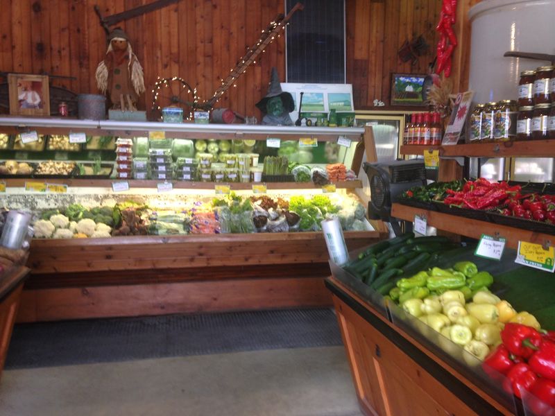 Fresh Corn Is One of the Biggest Reasons to Visit